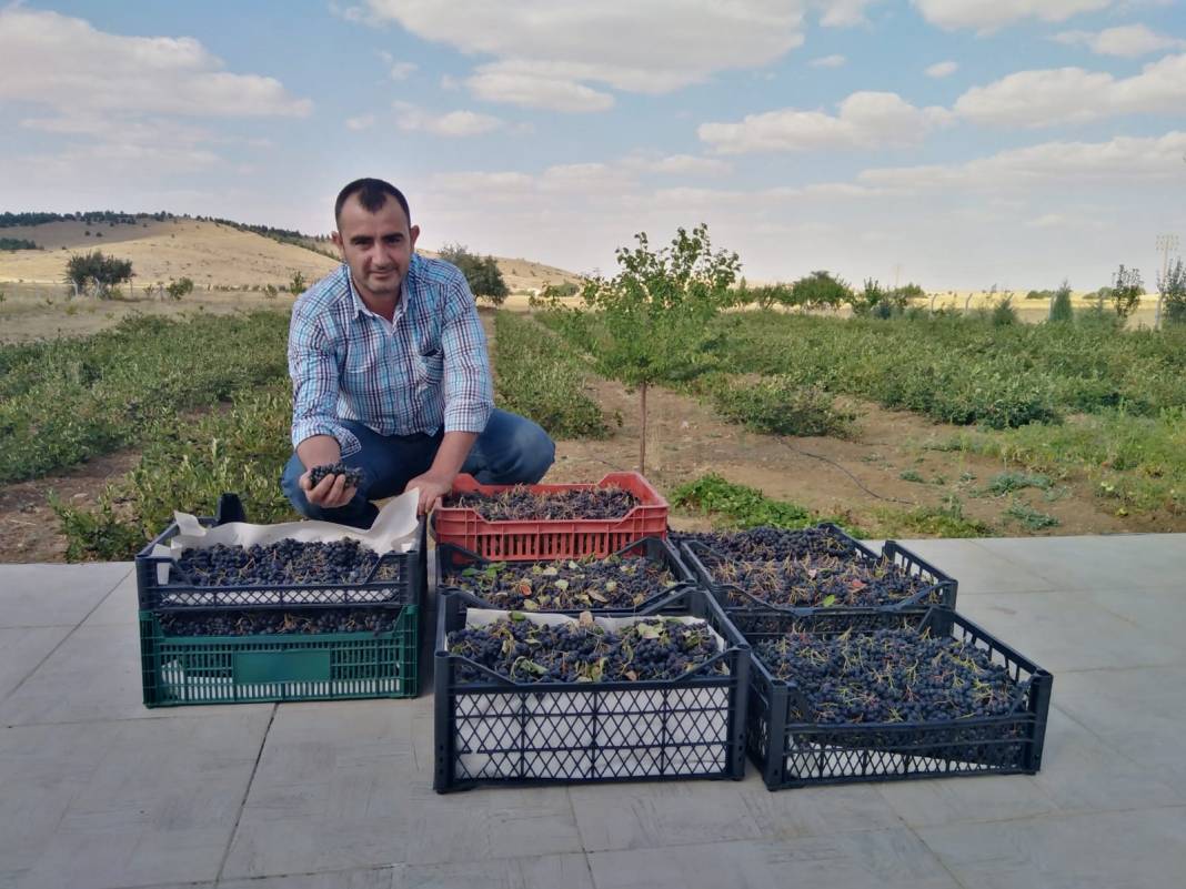 Adını bile bilen yokken Konya’da yetiştirdi! Her derde deva 3