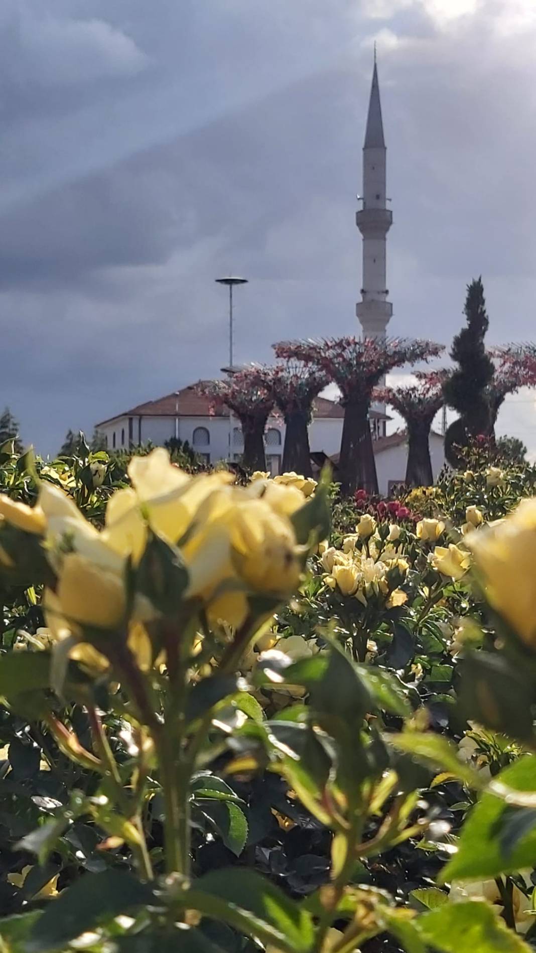 Karatay Gül Bahçesi Parkı yeni sezon için kapılarını açtı 25