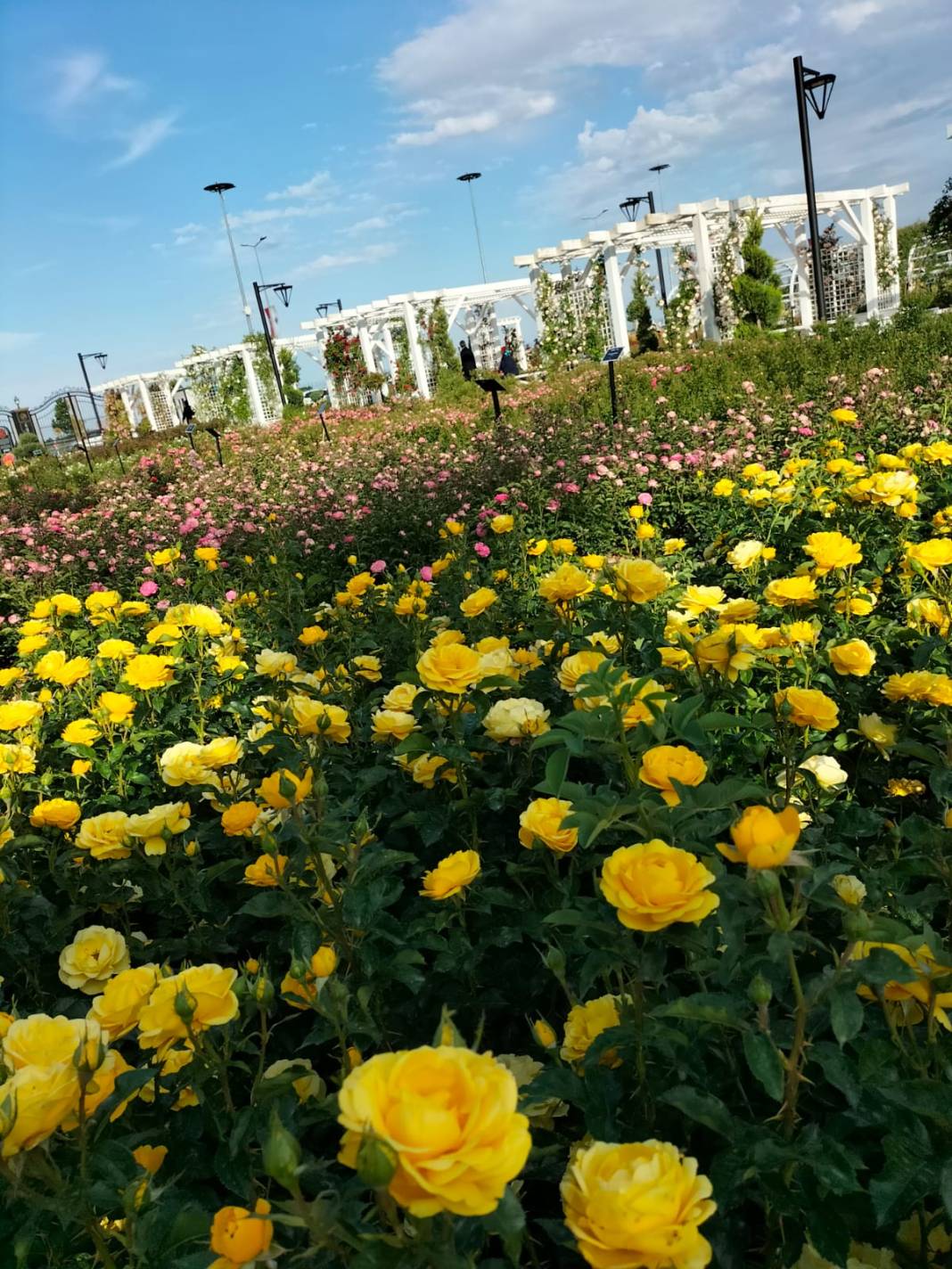 Karatay Gül Bahçesi Parkı yeni sezon için kapılarını açtı 32