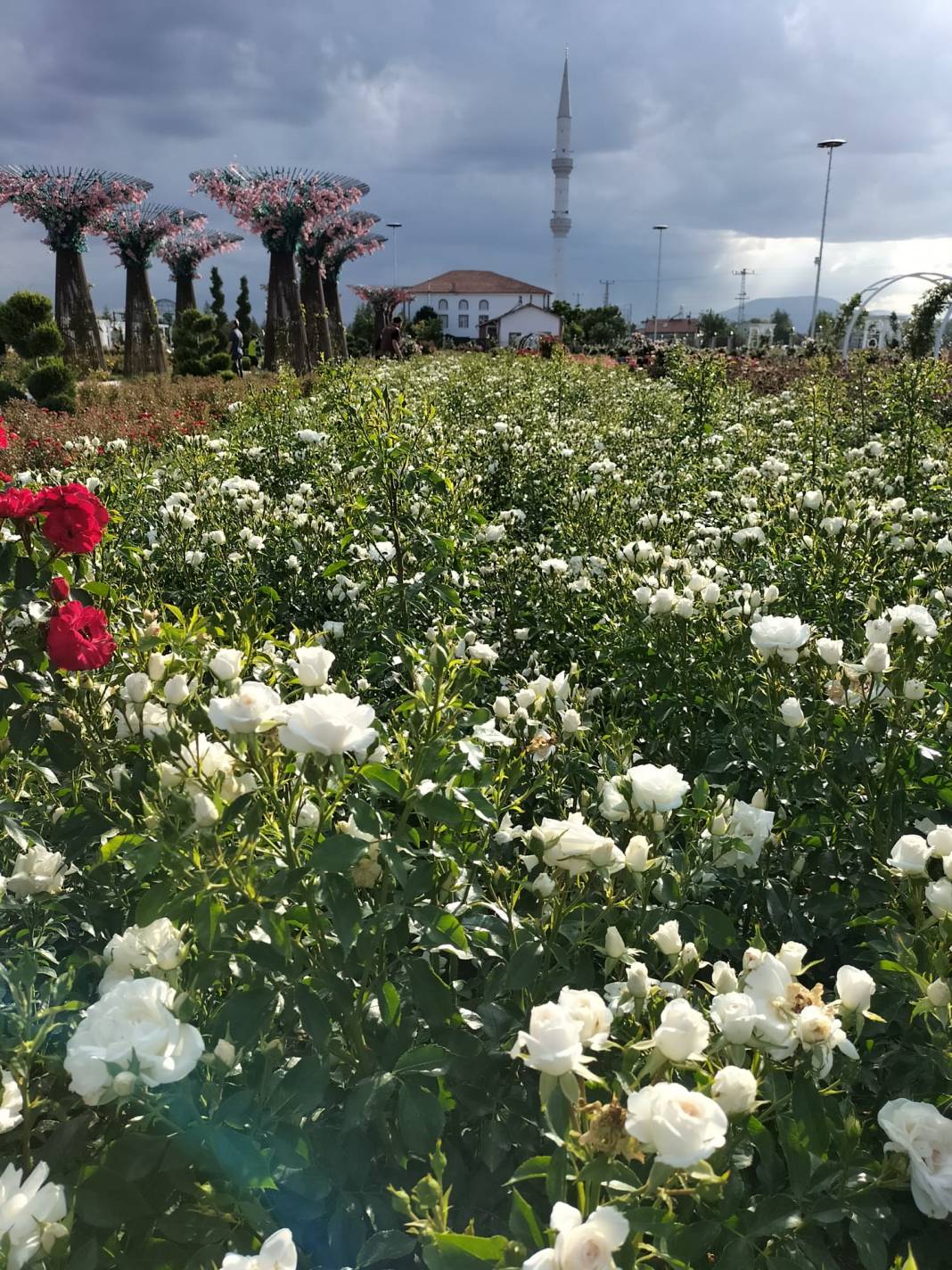 Karatay Gül Bahçesi Parkı yeni sezon için kapılarını açtı 40