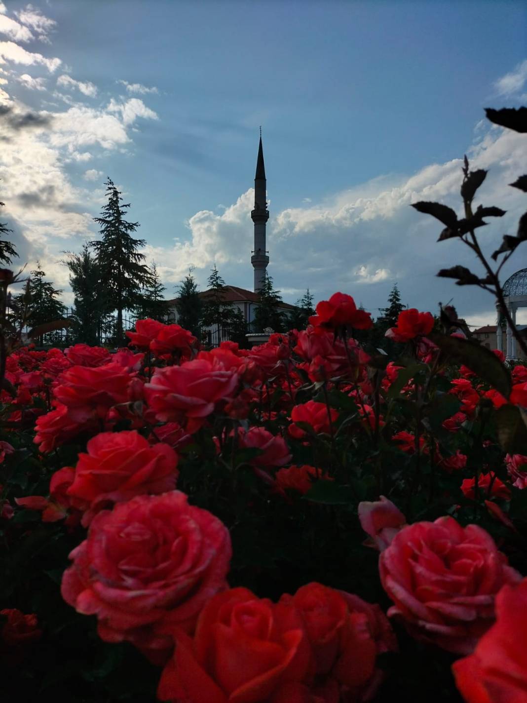 Karatay Gül Bahçesi Parkı yeni sezon için kapılarını açtı 9