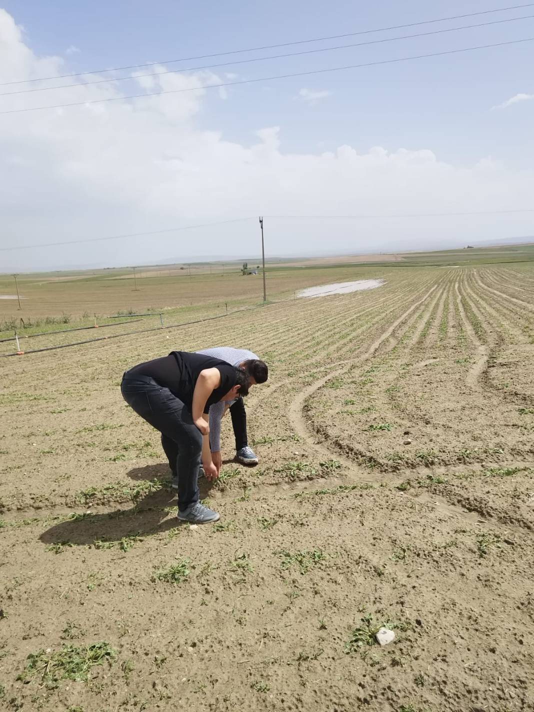 Konya’da dolu zararı çok büyük: Sadece 1 ilçede 15 bin dekar! 10