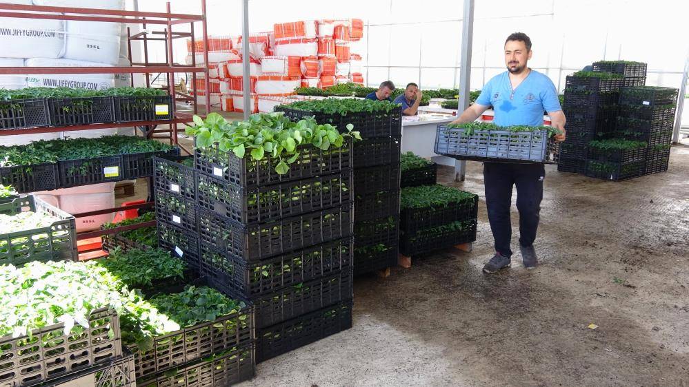 Bozkırda kurdu, 12 kişiye iş kapısı açtı, taleplere yetişemiyor 2