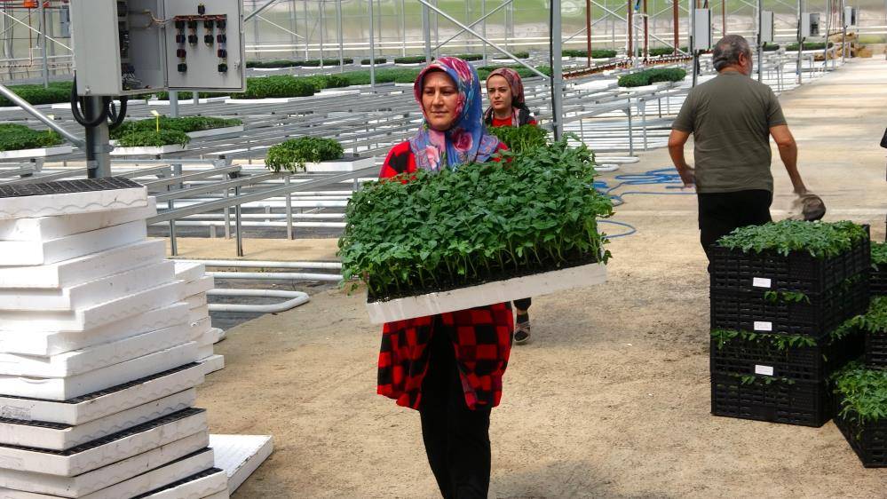 Bozkırda kurdu, 12 kişiye iş kapısı açtı, taleplere yetişemiyor 7