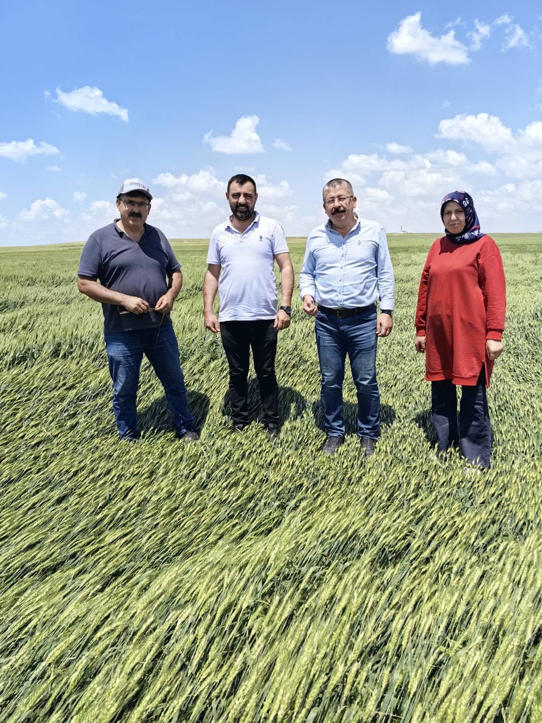 Konya’da dolunun vurduğu tarım arazilerinde hasar tespiti 9