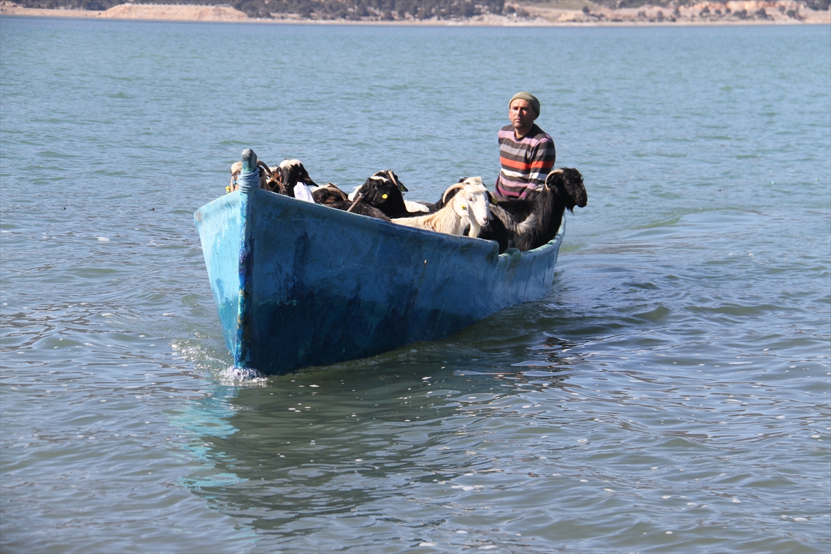 Konya'da keçilerin göl üzerinde balıkçı tekneleriyle dönüş yolculuğu 12