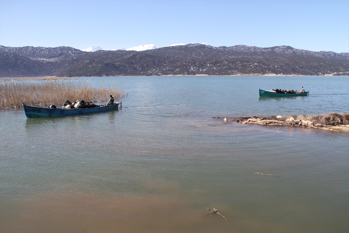 Konya'da keçilerin göl üzerinde balıkçı tekneleriyle dönüş yolculuğu 14