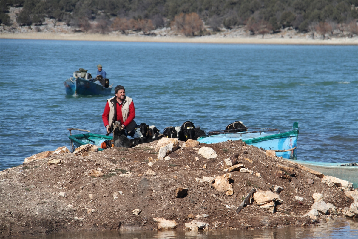 Konya'da keçilerin göl üzerinde balıkçı tekneleriyle dönüş yolculuğu 16