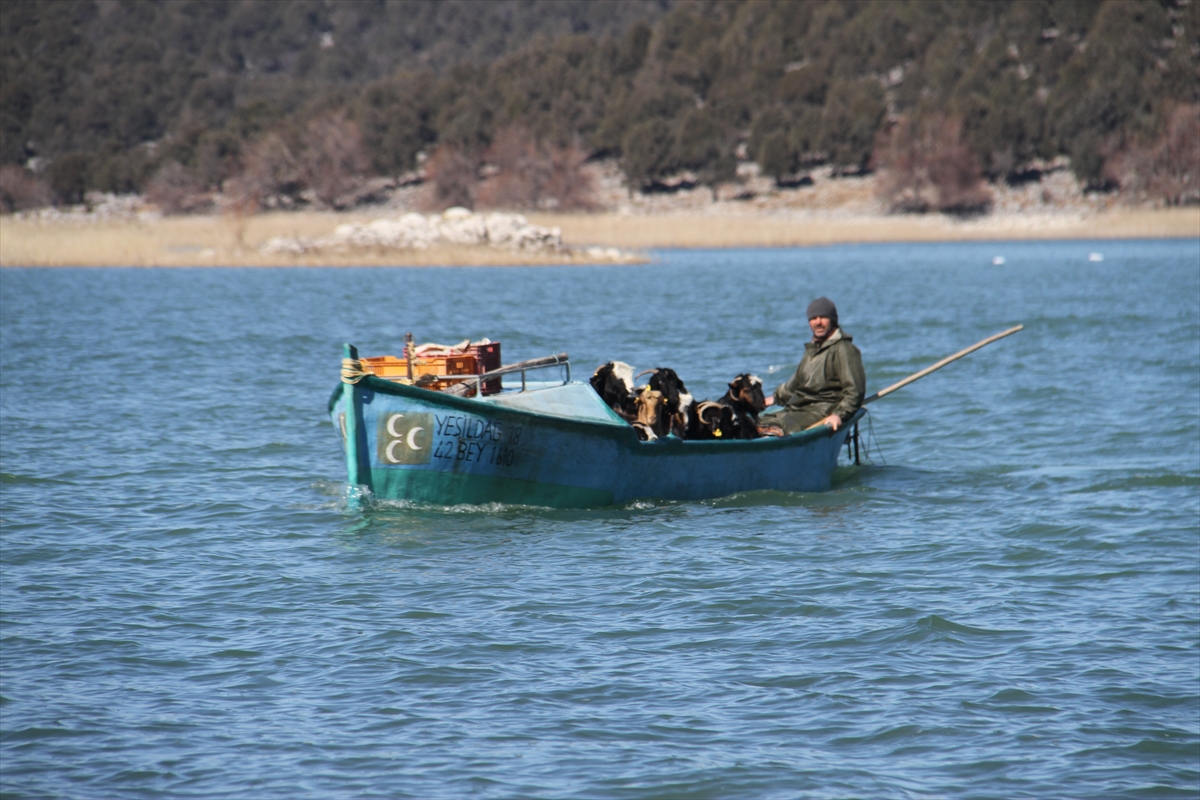Konya'da keçilerin göl üzerinde balıkçı tekneleriyle dönüş yolculuğu 19