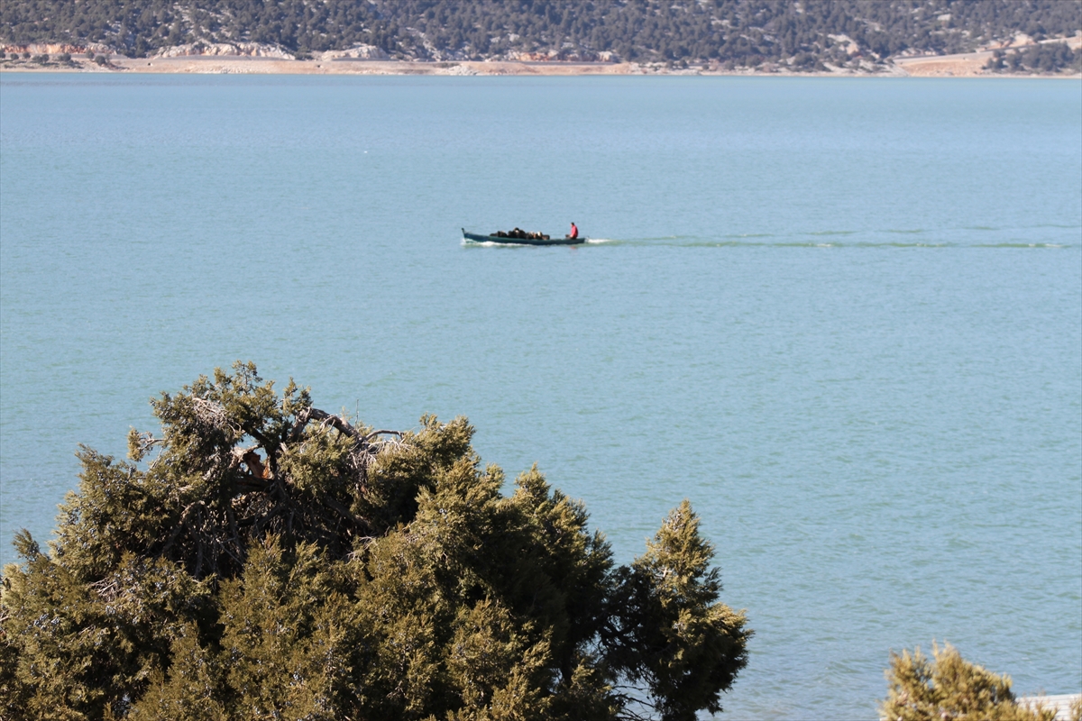 Konya'da keçilerin göl üzerinde balıkçı tekneleriyle dönüş yolculuğu 2