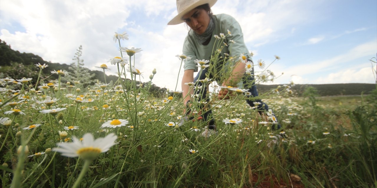 Beyşehir Gölü Milli Parkı'ndan büyüleyen kareler