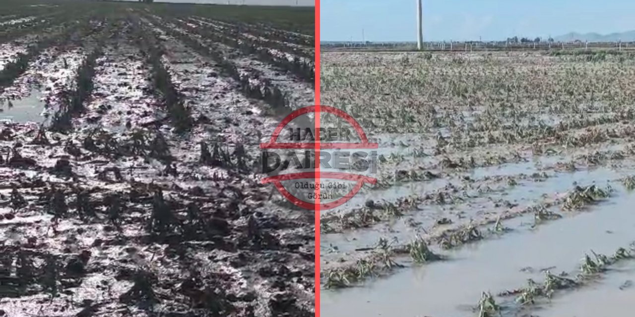 Konya’da sağanak yağmur sonrası ekili araziler su altında kaldı