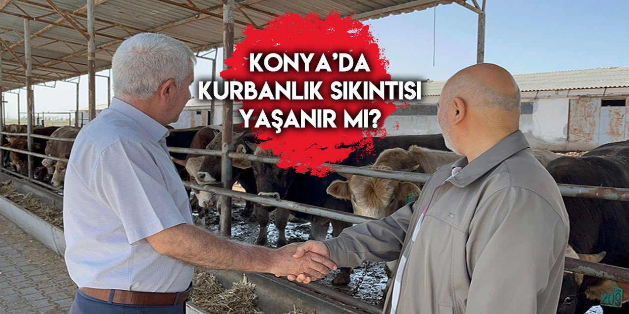 Konyalılar dikkat! Kurbanlık alacaklara önemli uyarı