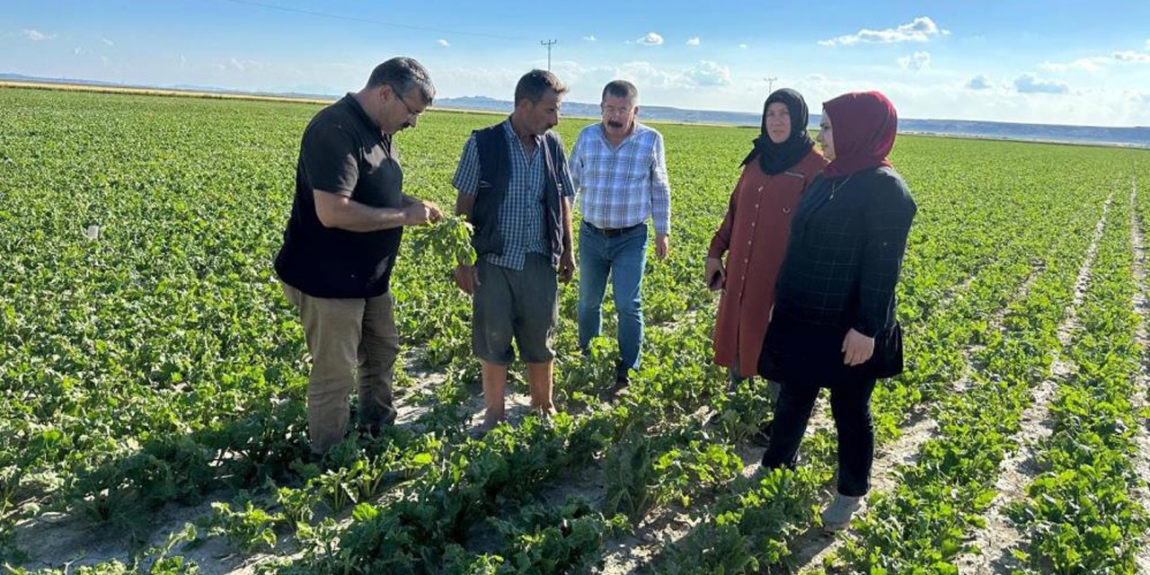 Kuvvetli yağışın vurduğu Konya’da tarım alanları incelendi