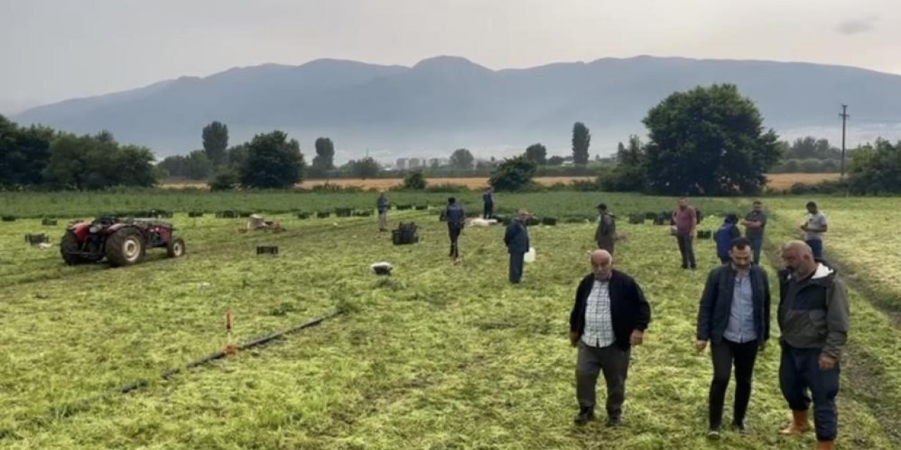 Ecel ekmeğinin peşindeyken yakaladı