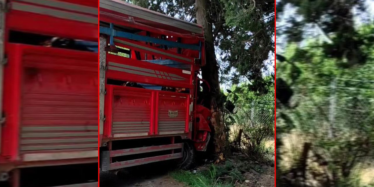 Meyve yüklü kamyonet ağaca çarptı: 1 ölü, 6 yaralı