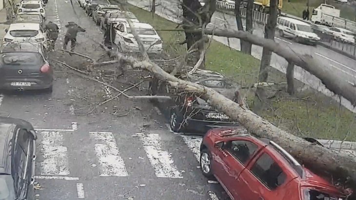 Fırtınanın yıktığı ağaç, yoldaki vatandaşlar ve otomobilin üzerine böyle devrildi