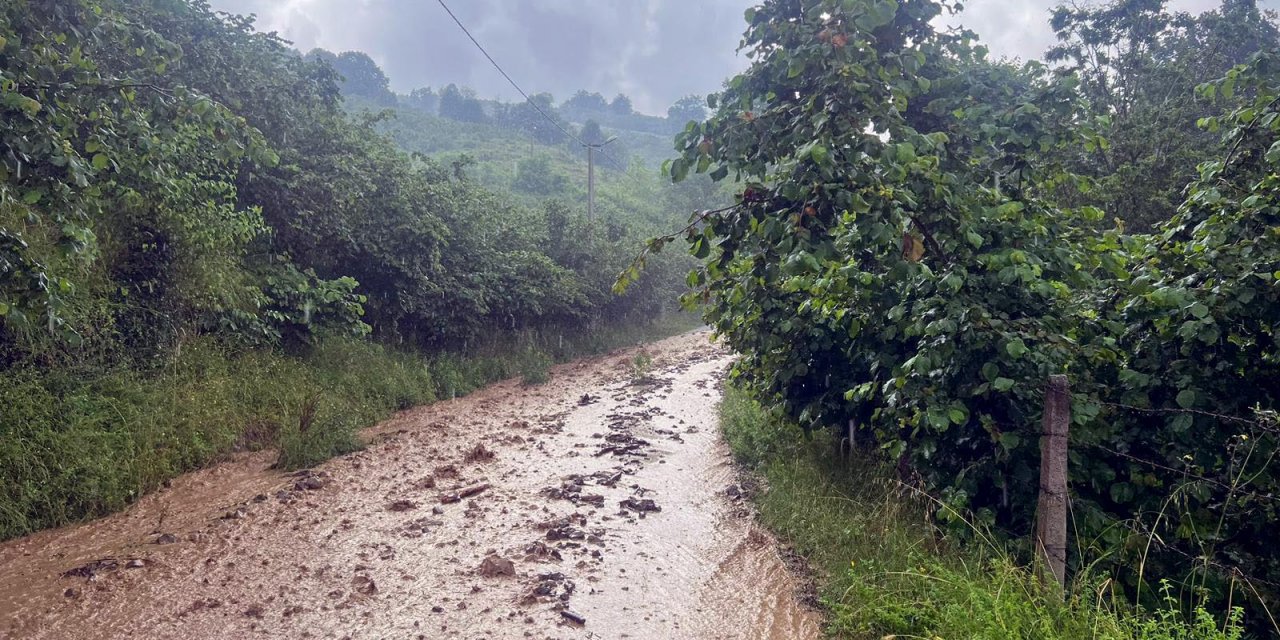 Sağanak yağış nedeniyle 21 köyde dereler taştı, su baskınları meydana geldi