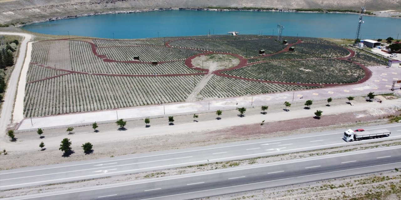 Konya’nın göl manzaralı Lavanta Bahçesi! Geliri 200 öğrenciye burs olacak