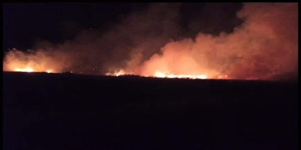 Yıldırımın düştüğü buğday tarlası küle döndü