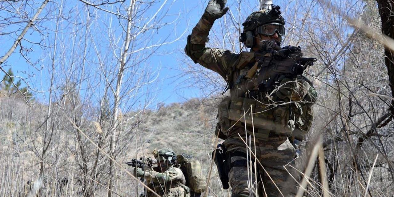 PKK'nın Fransa'dan ithal teröristi teslim oldu