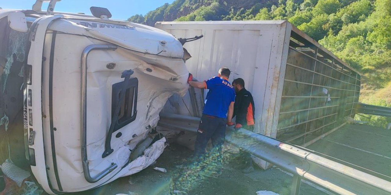 Kurbanlık taşıyan TIR devrildi: 1 ölü! 150 koyun telef oldu