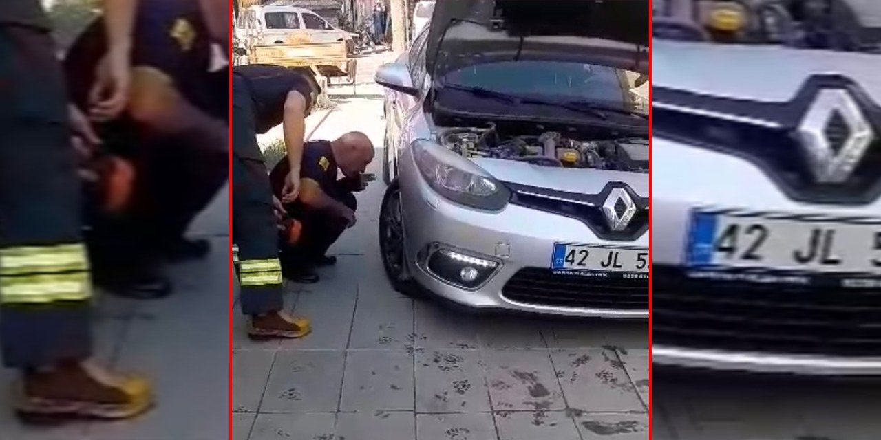 Konya’da otomobilin motor bölümüne giren kedi kurtarıldı