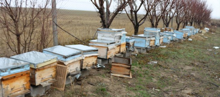 Konya’da bahçeye giren hırsızlar kovanlardaki arıları telef etti