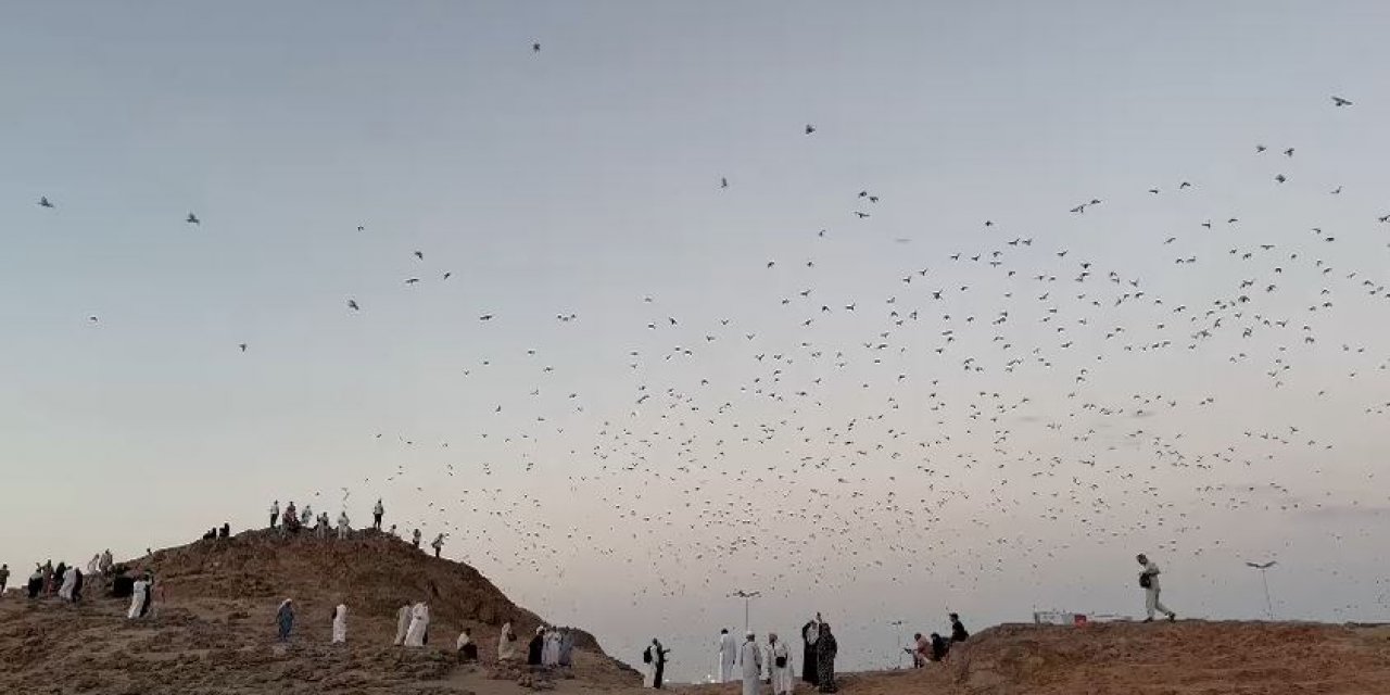 Uhud Dağı’nda Hacılara sürpriz