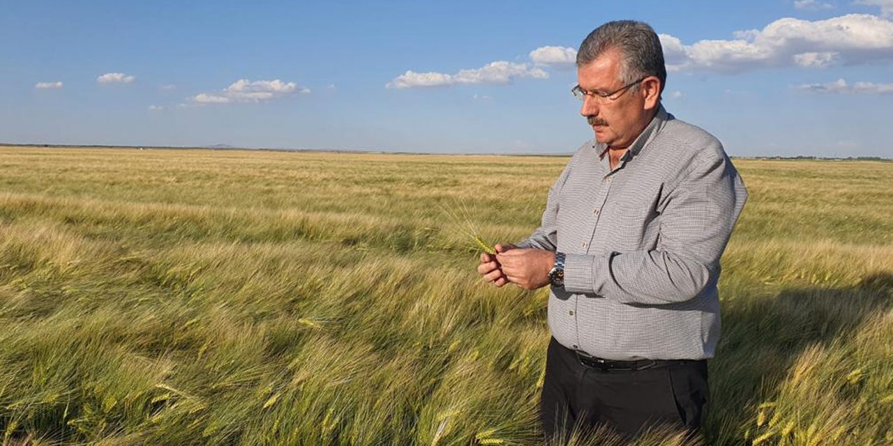 UHK rekolte tahminlerini yükseltti
