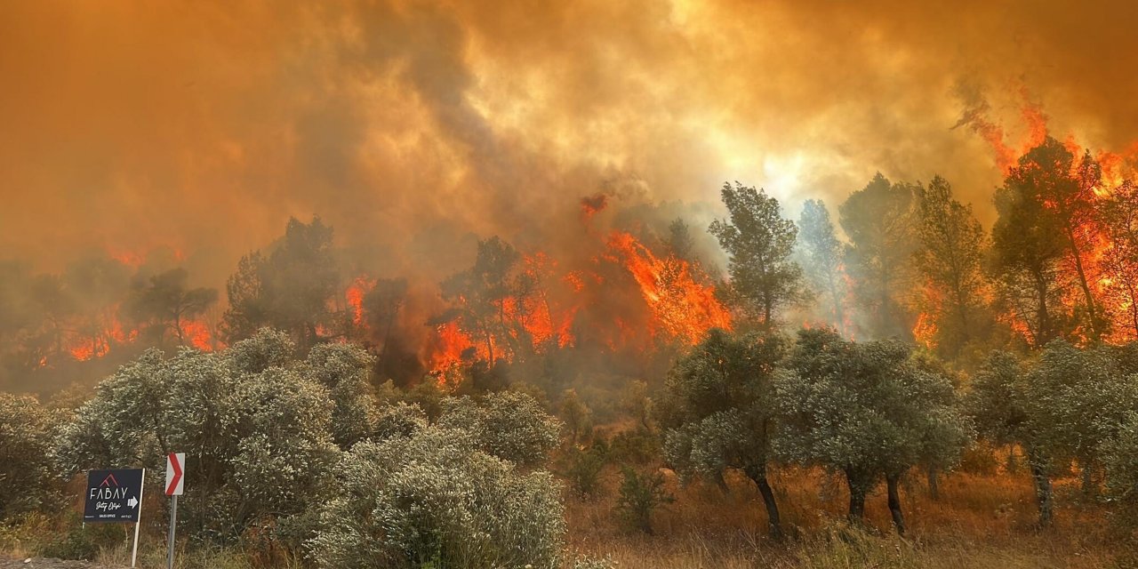 Muğla’da orman yangını! Havadan ve karadan müdahale ediliyor