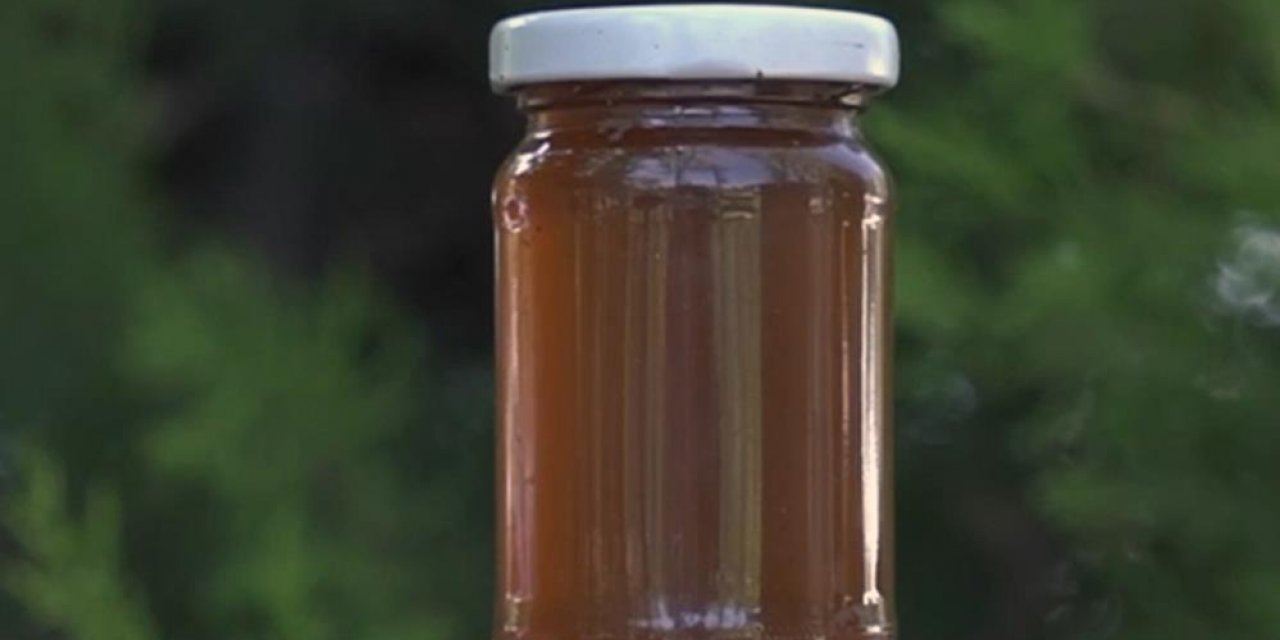 Dünyada 3 ülkede yetişiyor, biri Türkiye! Sığla Yağının kilosu 5 bin TL