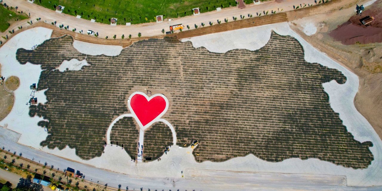 Konya’nın Misak-ı Milli haritalı lavanta bahçesi ziyarete açıldı