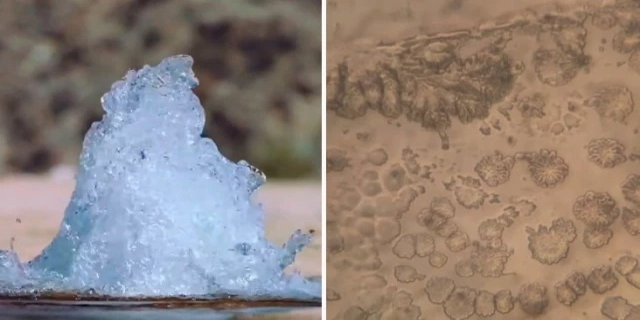 Mikroskop altında zemzem suyunu inceledi, gördüğü karşısında şaşkına döndü