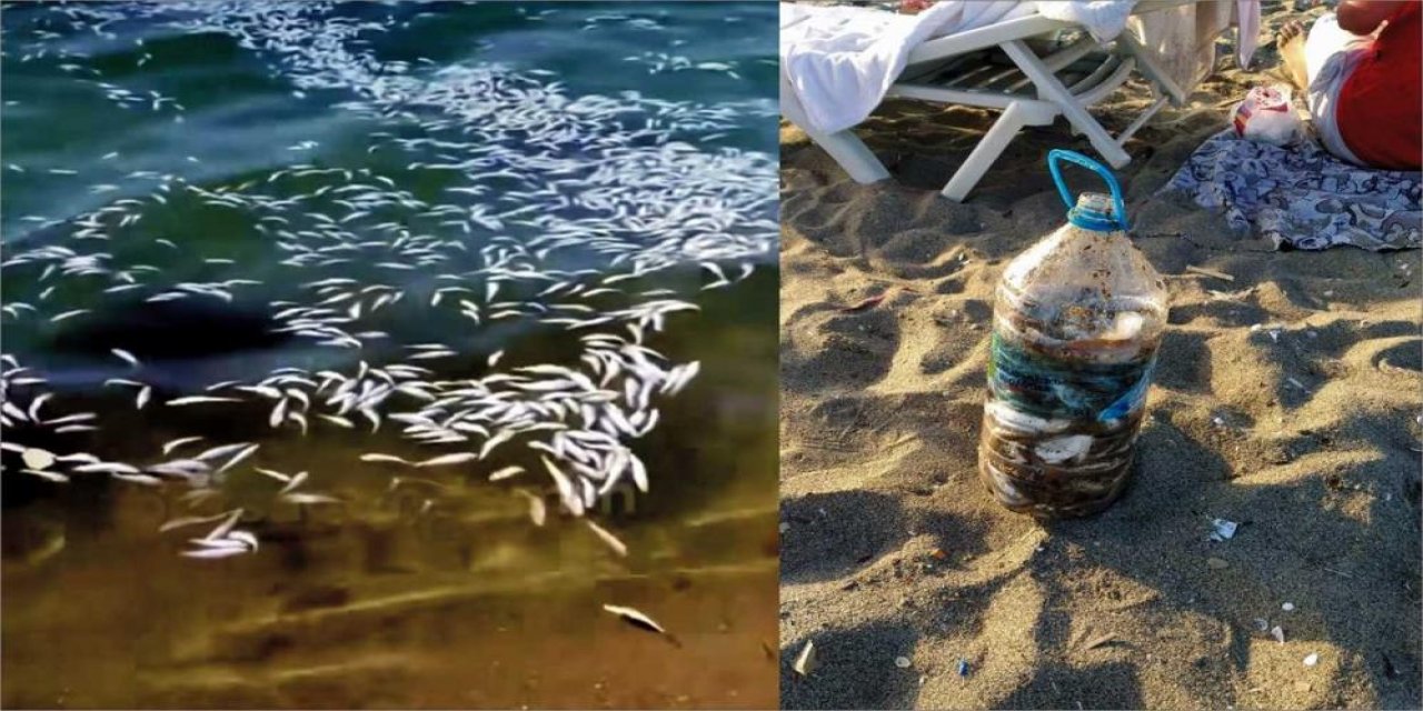 Balıkçılar kanun tanımıyor! Kaçarken tonlarca yavru mezgiti döktüler