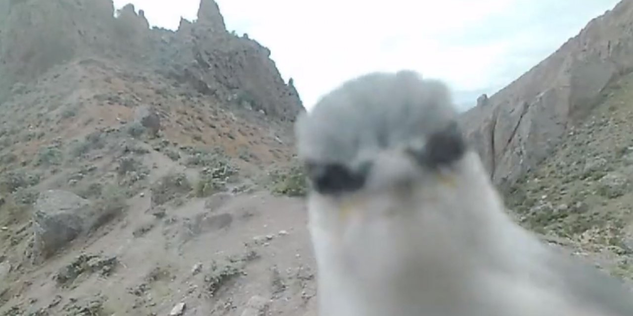 Konya’da DKMP’nin foto kapanında gülümseten görüntü