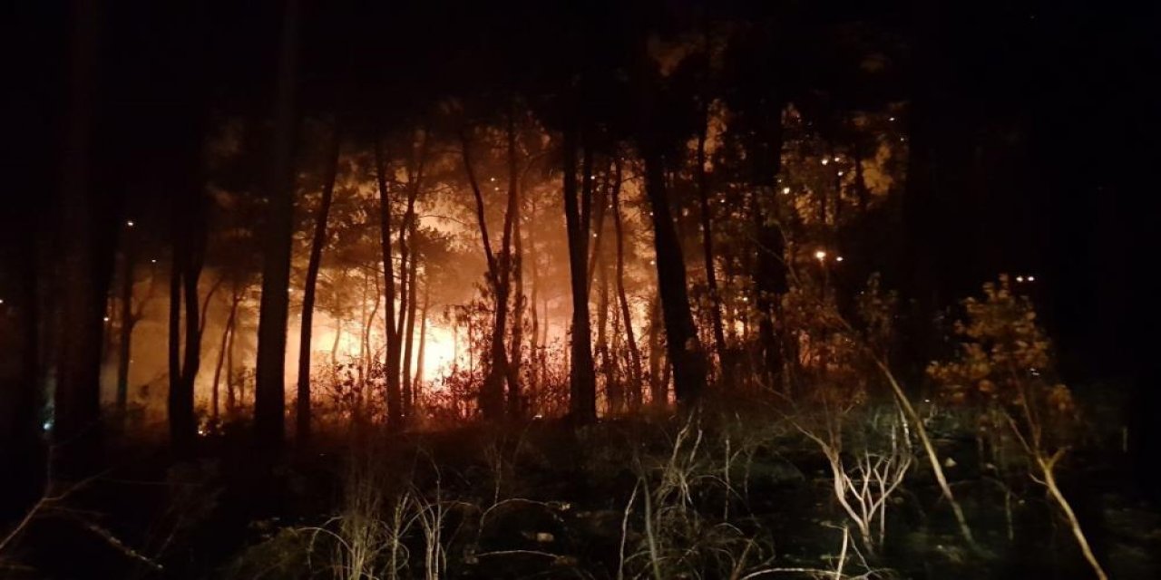 Antalya Kemer'de orman yangını çıktı