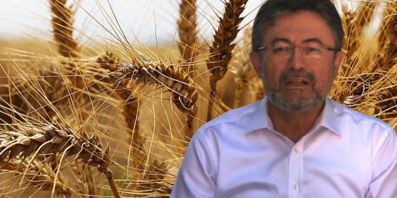 Tarım Bakanı Yumaklı Konya’da buğday hasadı yapacak
