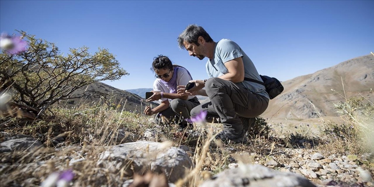 Konyalı akademisyen dağlarda bitki türlerini araştırıyor