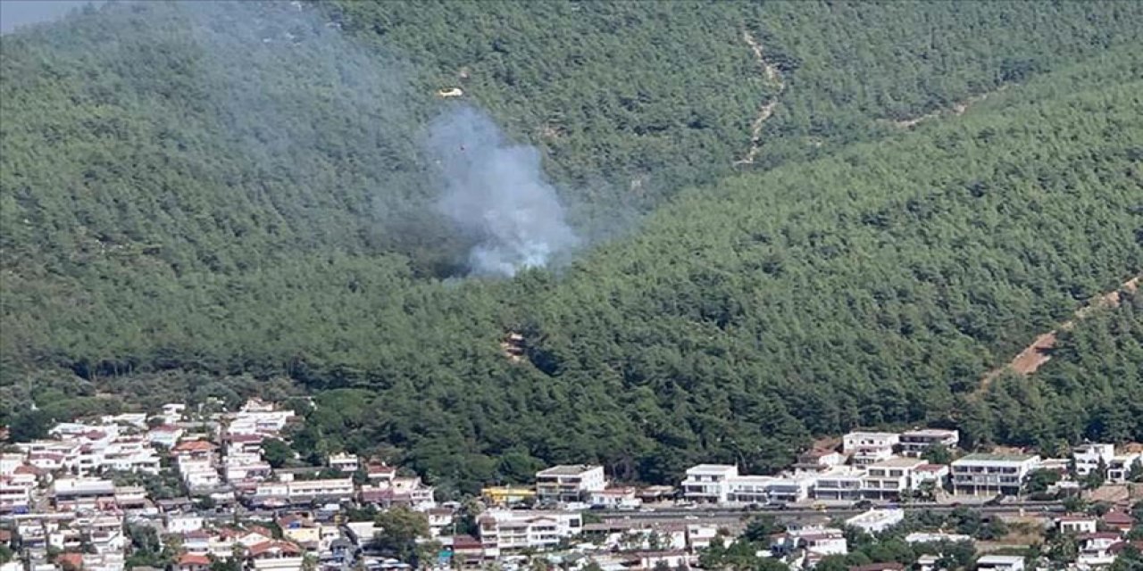 Bodrum'daki orman yangını kontrol altına alındı