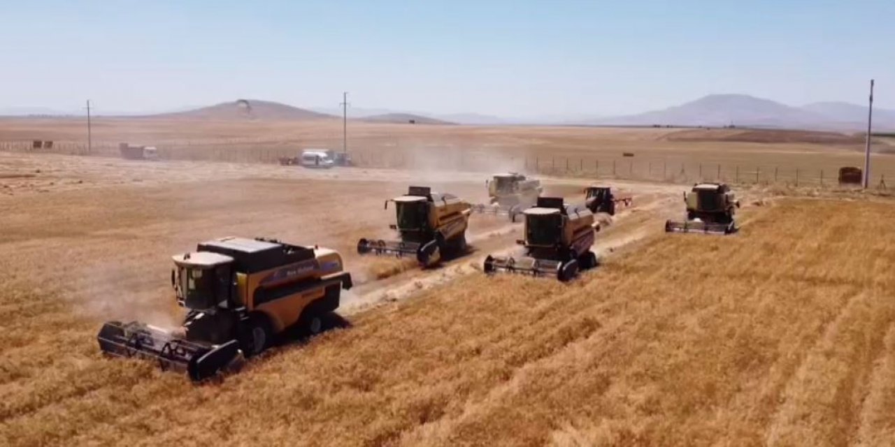 Türkiye'nin 2. büyük çiftliği! Konya’nın dev tarım işletmesinde hasat sona eriyor