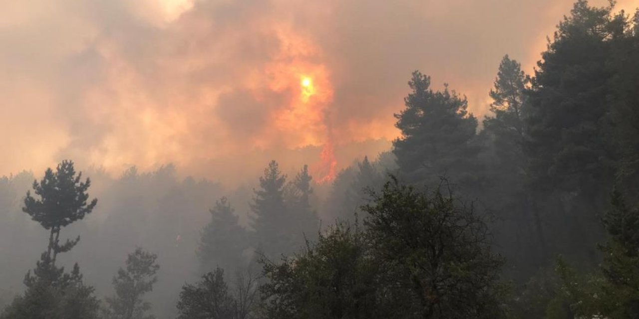 Antalya Akseki’de orman yangını
