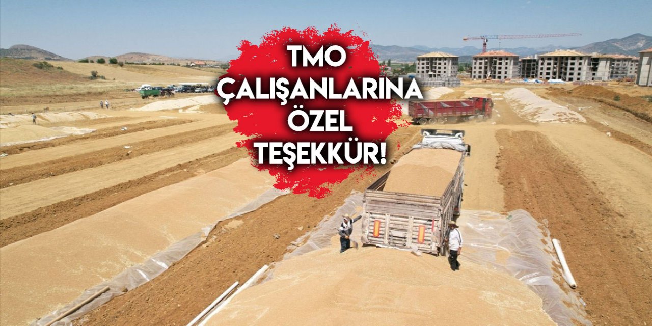 Bakan Yumaklı açıkladı: TMO tarihinde rekor alım!