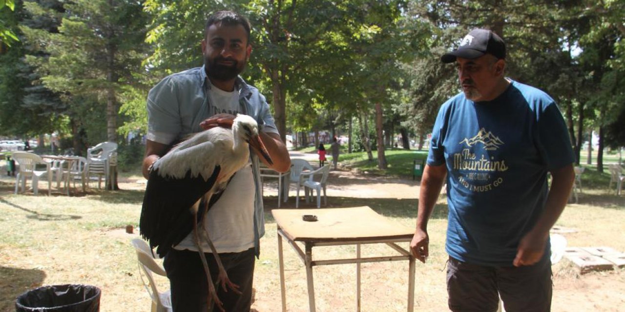 Konya’da yavru leylek parkın maskotu oldu!