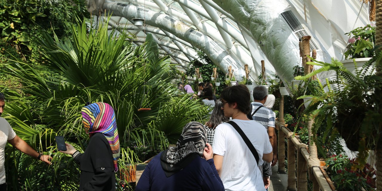 Konya Tropikal Kelebek Bahçesi ziyaretçi rekoru kırdı