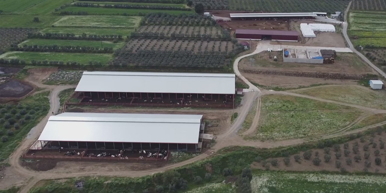 Yetiştiricilere 80 milyon TL’lik destek