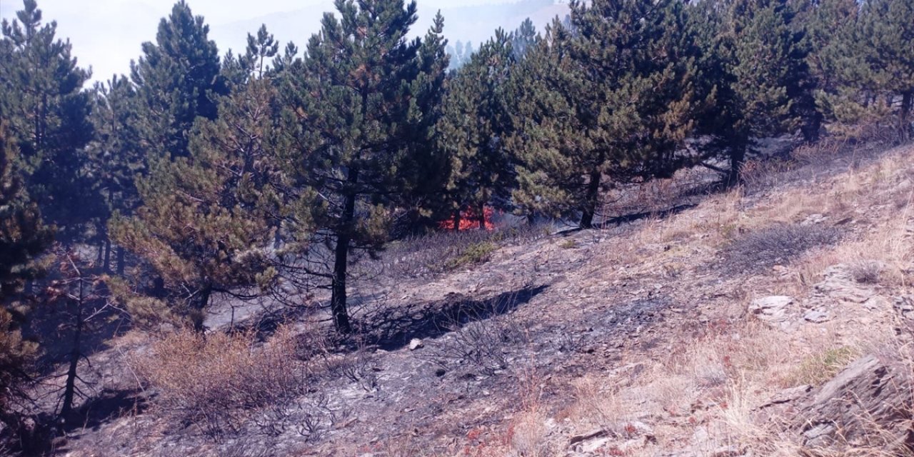 Konya sınırında orman yangını çıktı