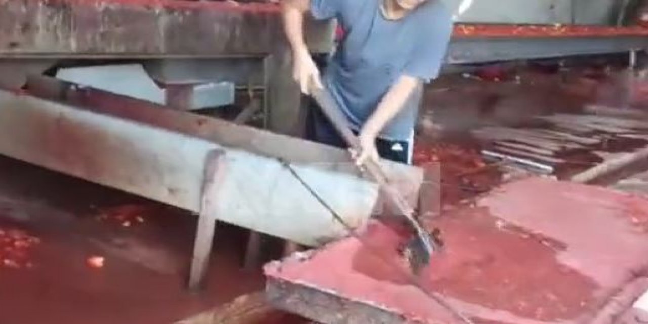 Mide bulandıran görüntü Konya’dan! Salçayı böyle üretiyorlar