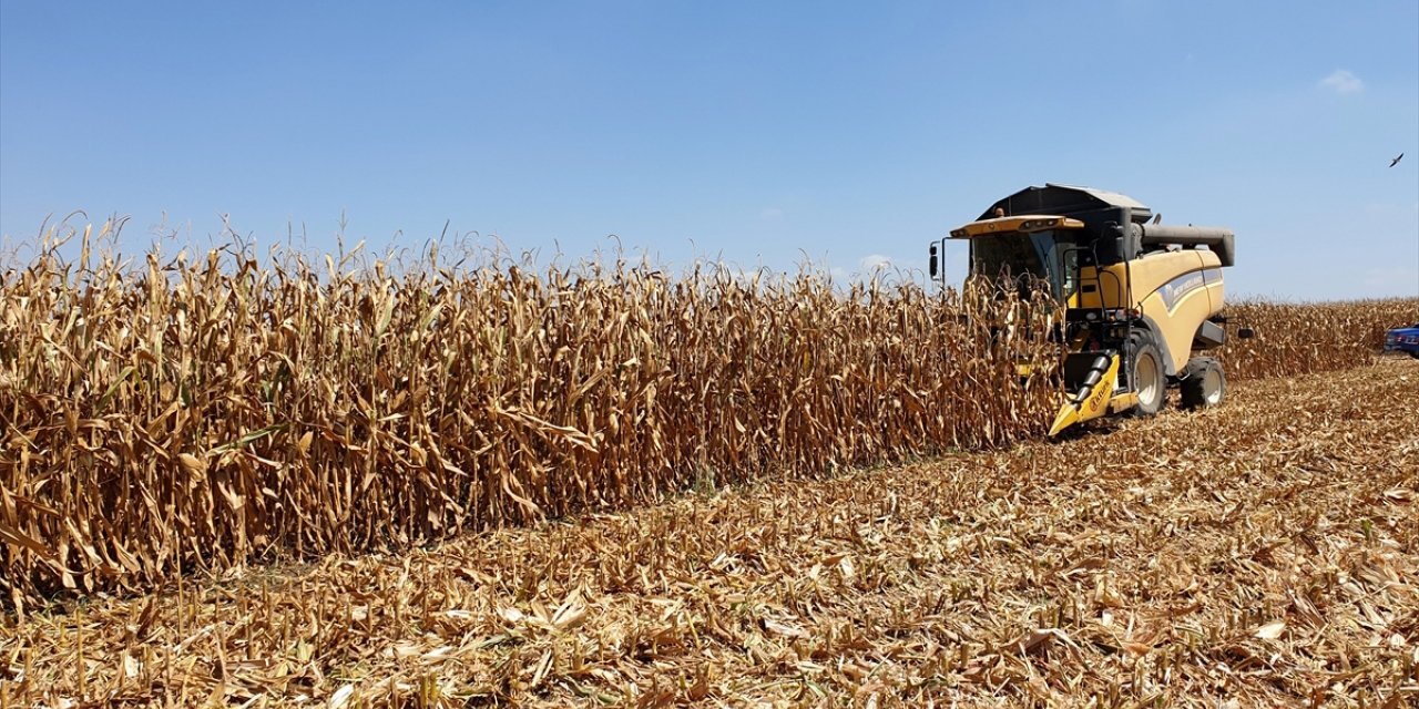 TMO rekor kırarken gözler Konya’nın hasadında