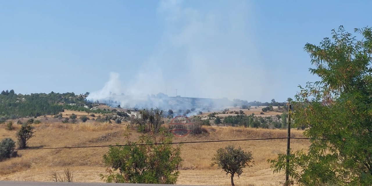 Konya’da ormanlık alanda yangın çıktı